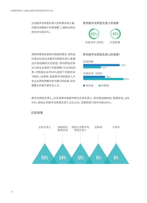 新澳精准资料免费提供,快速设计响应解析_扩展版4.192