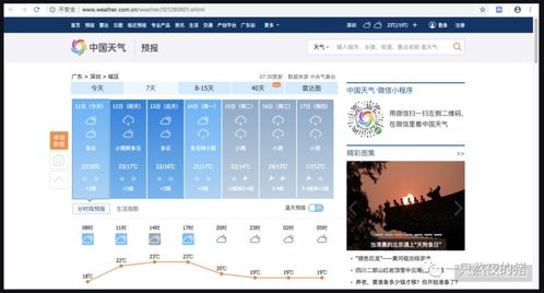 新奥天天免费资料大全341期,实时解析数据_tool2.310