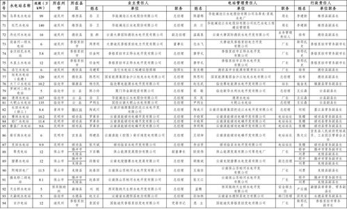 2024年精准资料大全,连贯评估方法_Z10.158