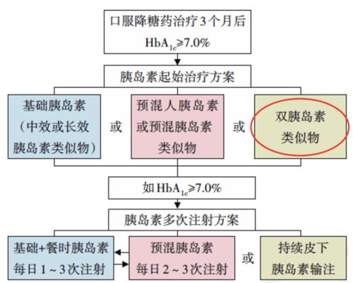 2024澳门精准正版生肖图,实时数据解释定义_黄金版1.679