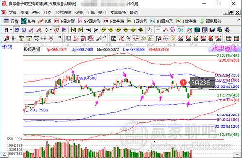 2024新澳生肖走势图,权威分析解释定义_NE版4.387