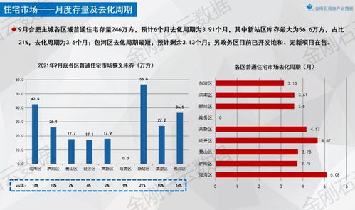 一码一肖一特一中2024,实地考察数据分析_钻石版2.568