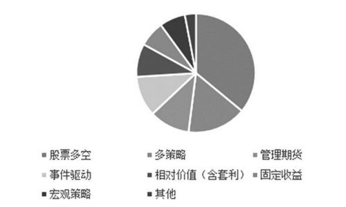 2024年12月6日 第35页