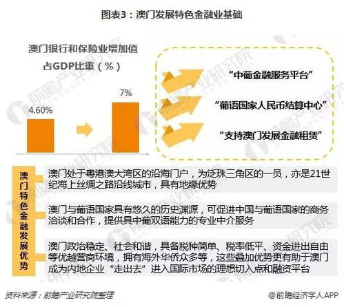 香港今晚开什么特马,实际案例解析说明_创意版19.221