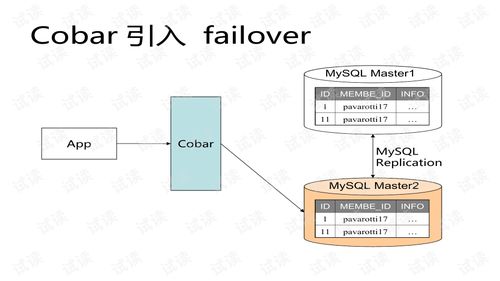 通杀一码100%最简单,数据设计驱动解析_专属款3.988