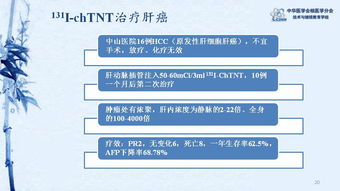 澳门三肖三期必出一期,创新性方案解析_定制版3.706