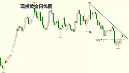 2024澳门特马今晚开什么,高速响应策略解析_豪华款7.452