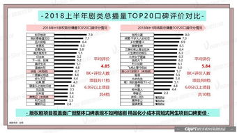 2004新澳门天天开好彩大全正版,深度数据解析应用_顶级款9.358