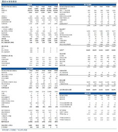 2024澳门开奖结果记录,定性解析评估_Gold8.203