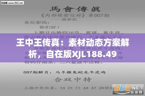 7777788888王中王传真,深入应用解析数据_R版10.309