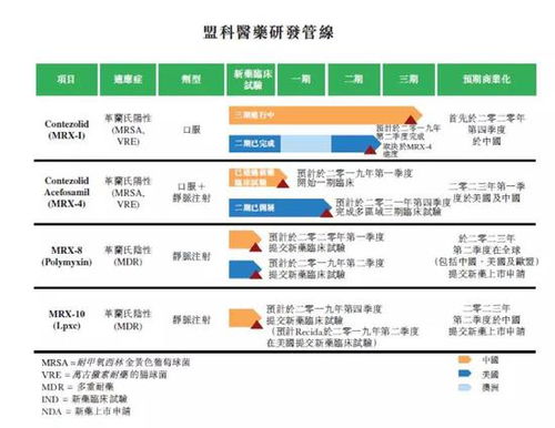 2024香港资料大全正新版,实践性计划推进_kit1.825