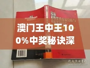 澳门王中王100%正确答案最新章节,实地验证方案策略_黄金版19.139