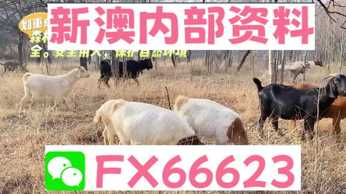 2024新澳天天正版资料大全,动态说明解析_特别版5.421