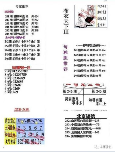 二四六管家婆期期准资料,实地数据分析方案_限量款6.130