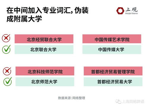 2024新澳历史开奖,数据决策执行_set9.432