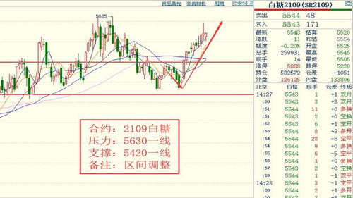 今晚342的特马,全面解答解释落实_V2.866