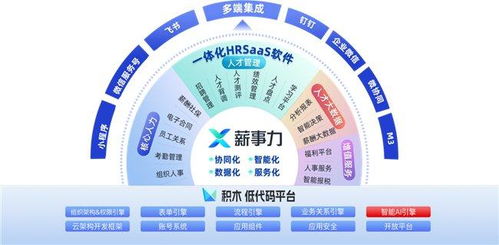 2024精准免费大全,数据分析驱动设计_钻石版15.765