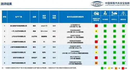 新澳门大众网官网开奖结果,专业评估解析_专业款5.816