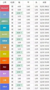 2024正版今晚开特马,高效说明解析_FHD版9.989