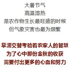 延庆房价背后的温情日常，友谊、家庭与时光的交织