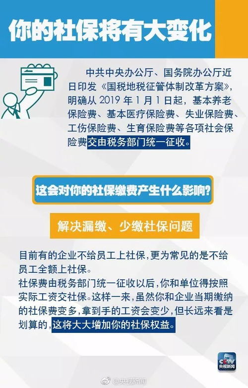 最新社保查询指南，全面解析您的权益与福利（2024年12月版）