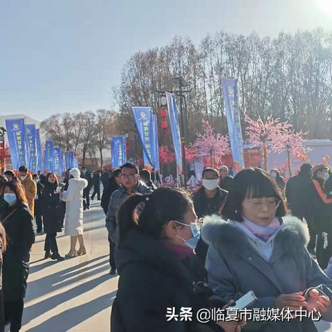 舞动冬日，韵律生活——最新广场舞舞蹈深度评测专场纪实