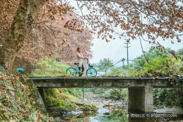 太慈桥新风貌，12月最新打卡胜地闪耀登场