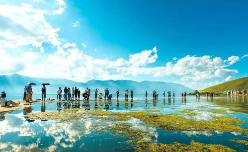 关小唐的热门旅行日，探寻自然秘境，寻找内心平静之旅