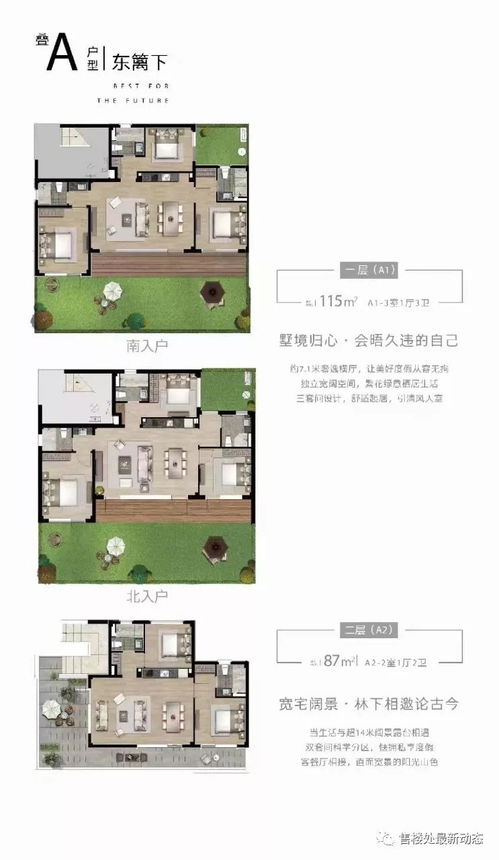 石家庄白铜焊丝价格走势解析，最新行情动态