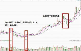 揭秘七毛股票背后的投资策略故事