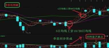 揭秘股票代码002123的投资潜力与市场走势分析