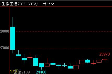 揭秘股票估价核心因素，全面解读影响股票价值的要素