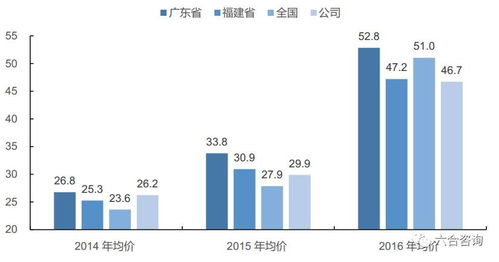 薛林纳价格解析，市场定位与价值体现探究