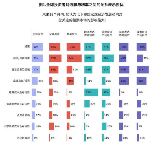 股票与均鱿策略揭秘，投资之道与市场动态深度解析