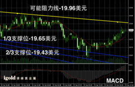 火鸡苗市场走势分析，最新行情解读与趋势预测