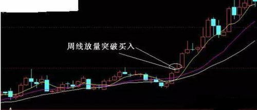 职业股票盈利秘诀，策略、技巧与心态全解析