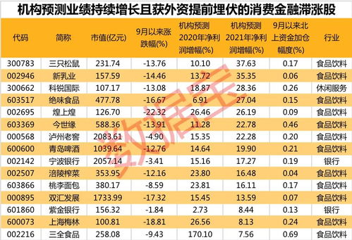 煌上煌股票资金揭秘，深度解析与未来前景展望