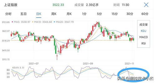 伊特酒股票市场趋势及投资机会解析