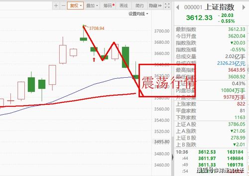 海恩达股票，市场趋势及未来发展深度解析