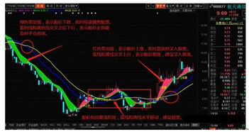 绿岸网络股票，市场潜力挖掘与未来展望