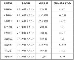 股票新股中签后的秘密与攻略解析