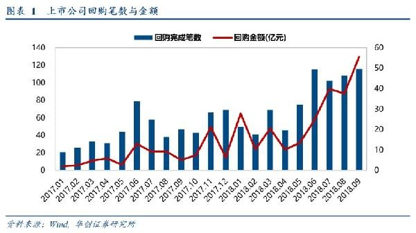 回购核销股票，策略深度解析、影响评估与未来展望