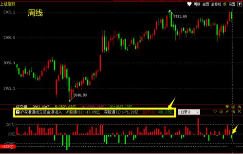 指南针股票实时价，解读市场走势，洞悉投资趋势