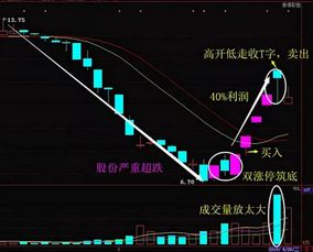 哲库与股市，深度关联与发展探究