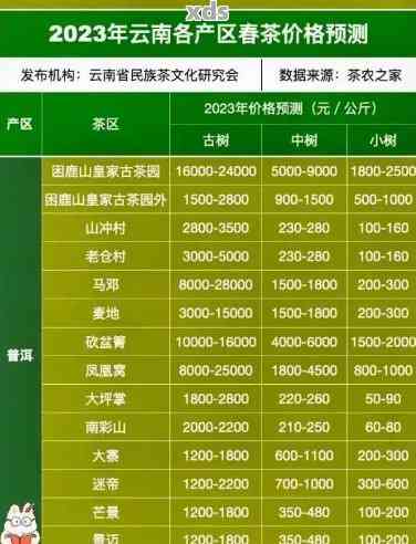 优质电源盘市场行情解析，最新价格与选购指南