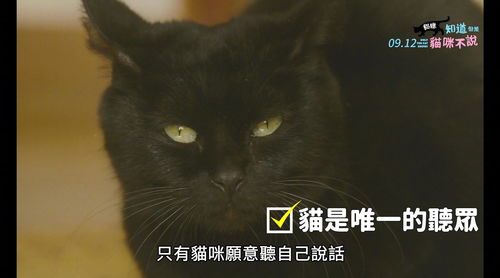 猴姆独家壁纸，猴姆独家2013混音下载 