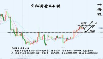 山东青山羊价格走势深度解析