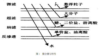 耐酸碱纳滤膜价格解析，市场行情、趋势预测与全面解读