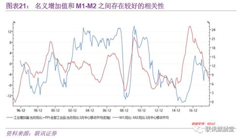 龙须树价格走势及购买指南，市场趋势与选购要点一网打尽！