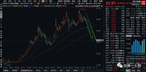 泽璟股票深度解析，N泽璟的股市风云之旅